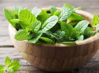 Mint